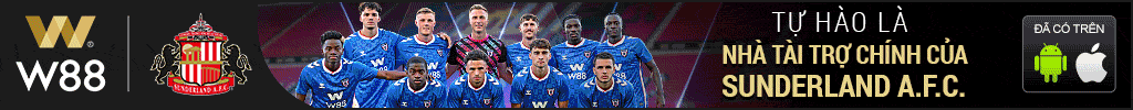 Banner W88 Banner W88